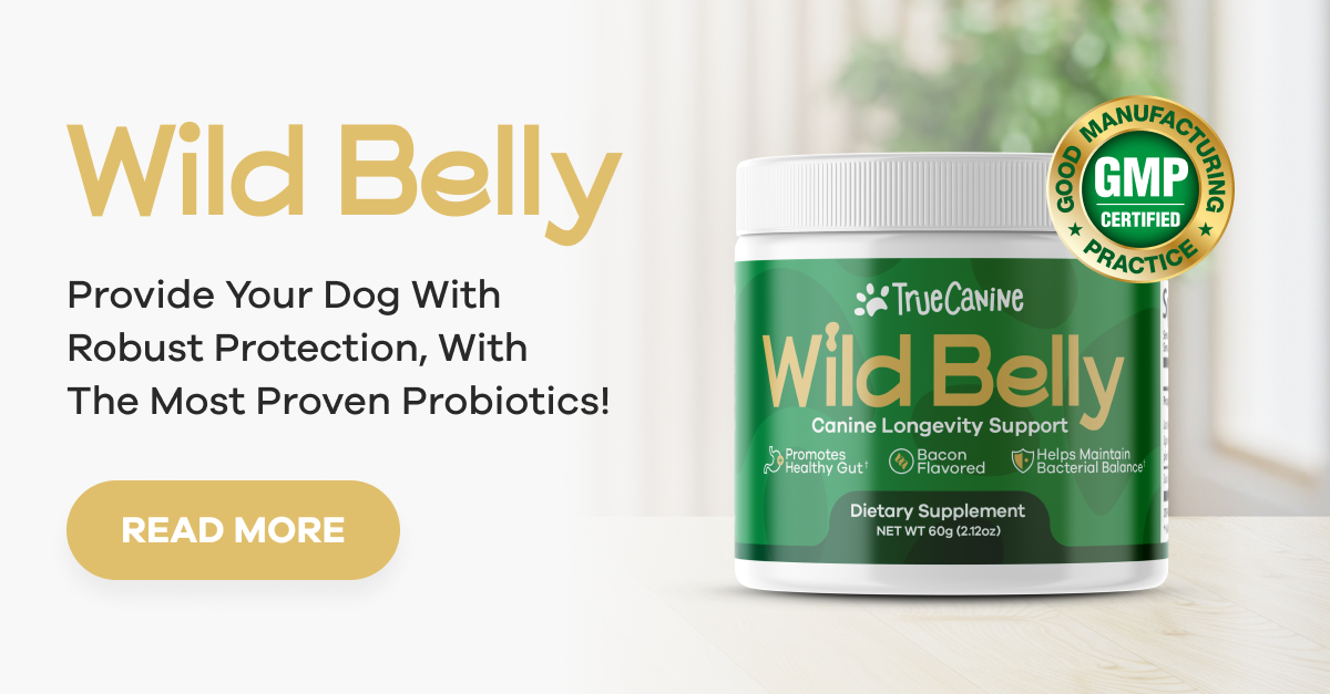 Wild Belly Canine Probiotic thumbnail
